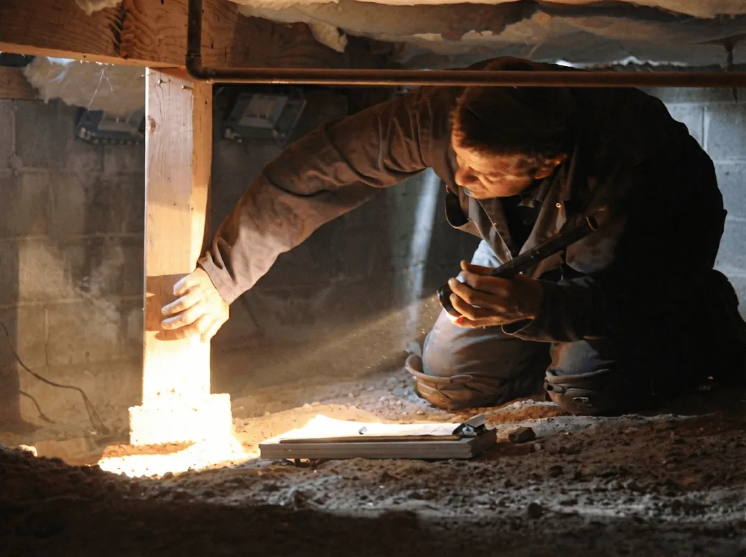A professional inspecting wooden beams under the floor of a structure in Mesa, AZ